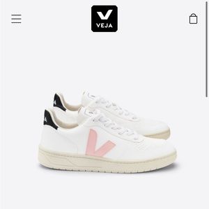 Veja V-10